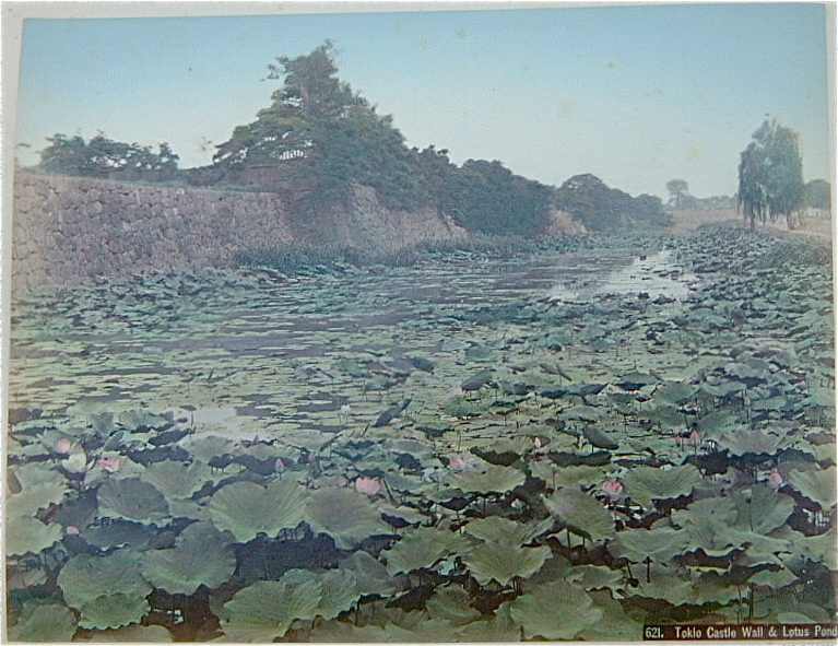 Lá xanh