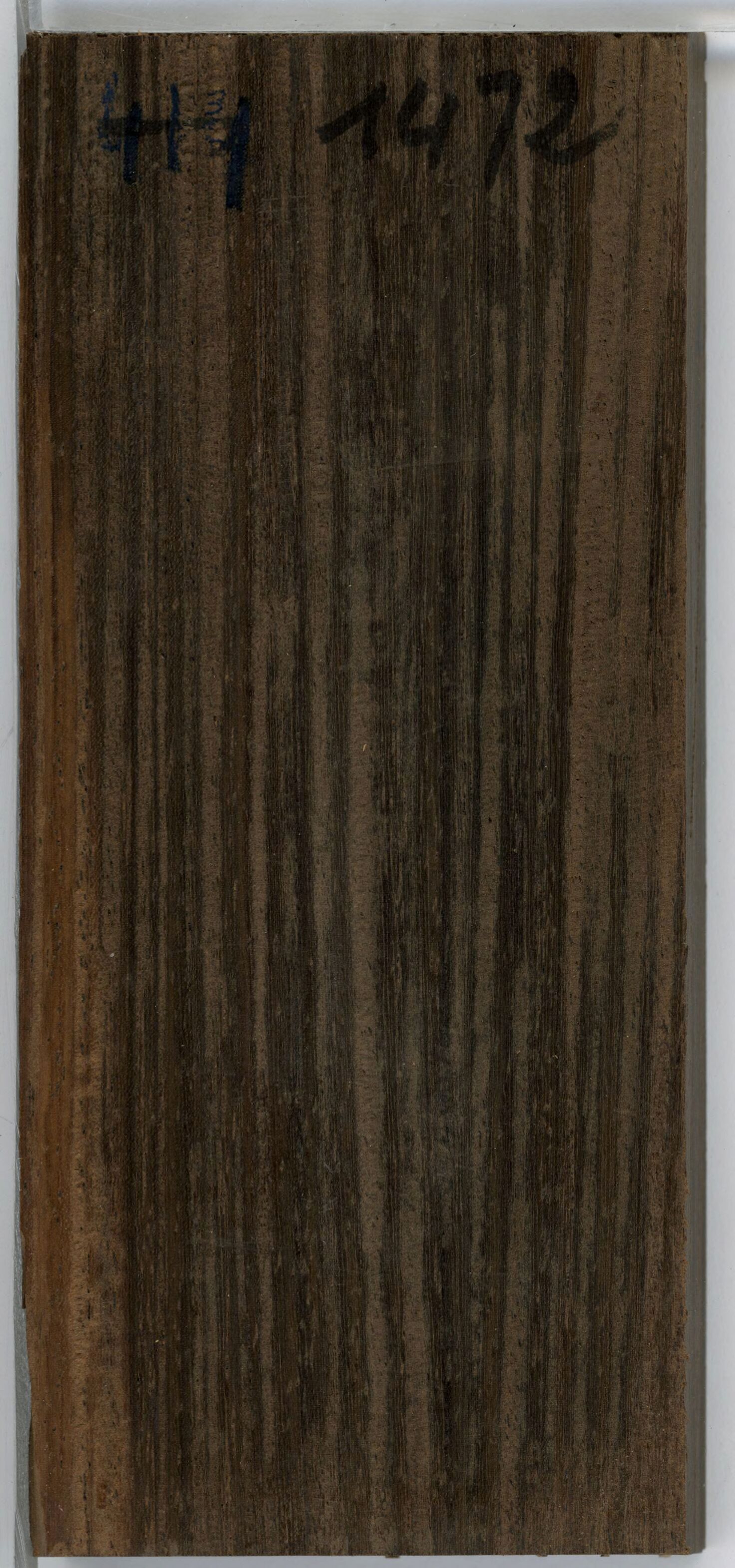 Trắc Nam Bộ · ảnh 2