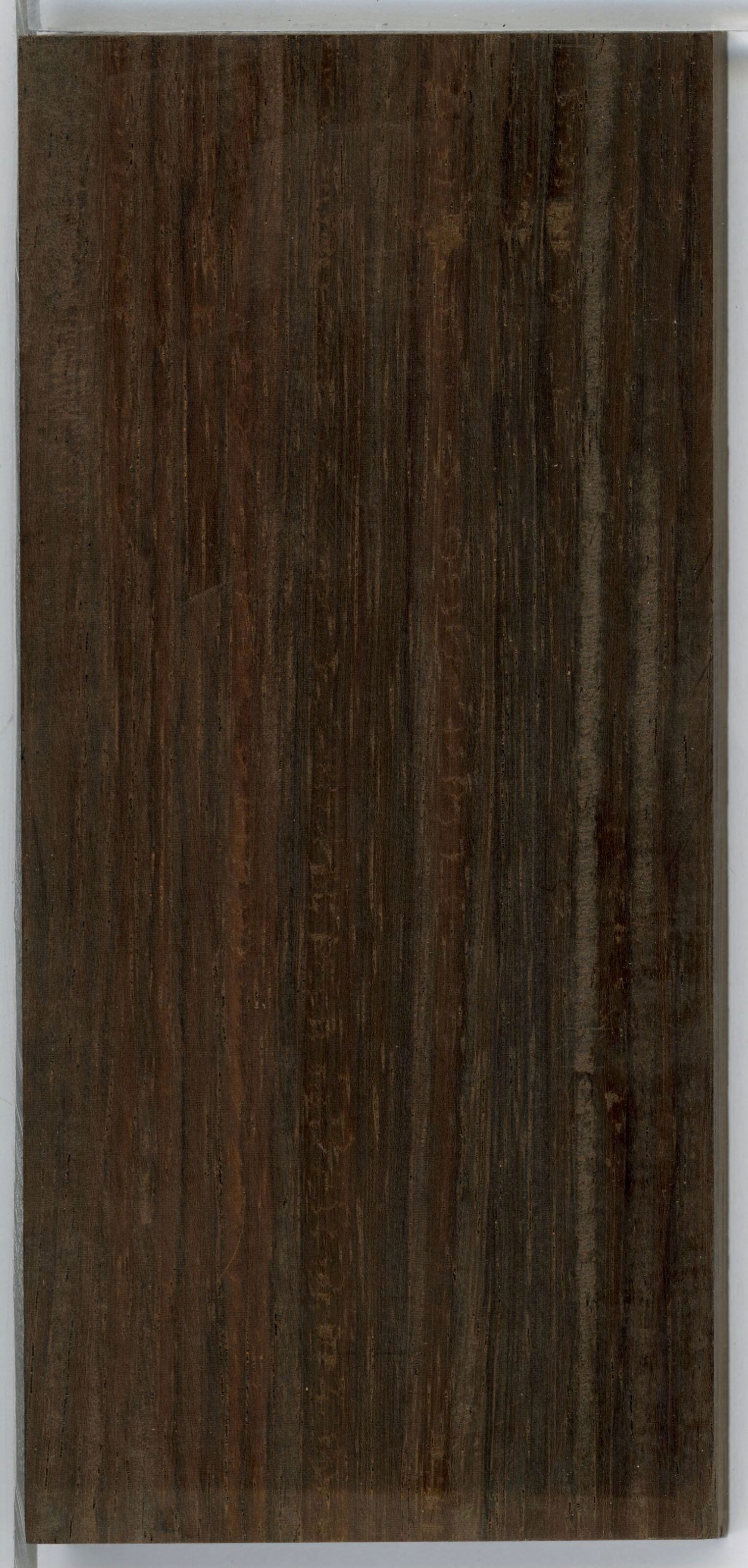 Trắc Nam Bộ · ảnh 3